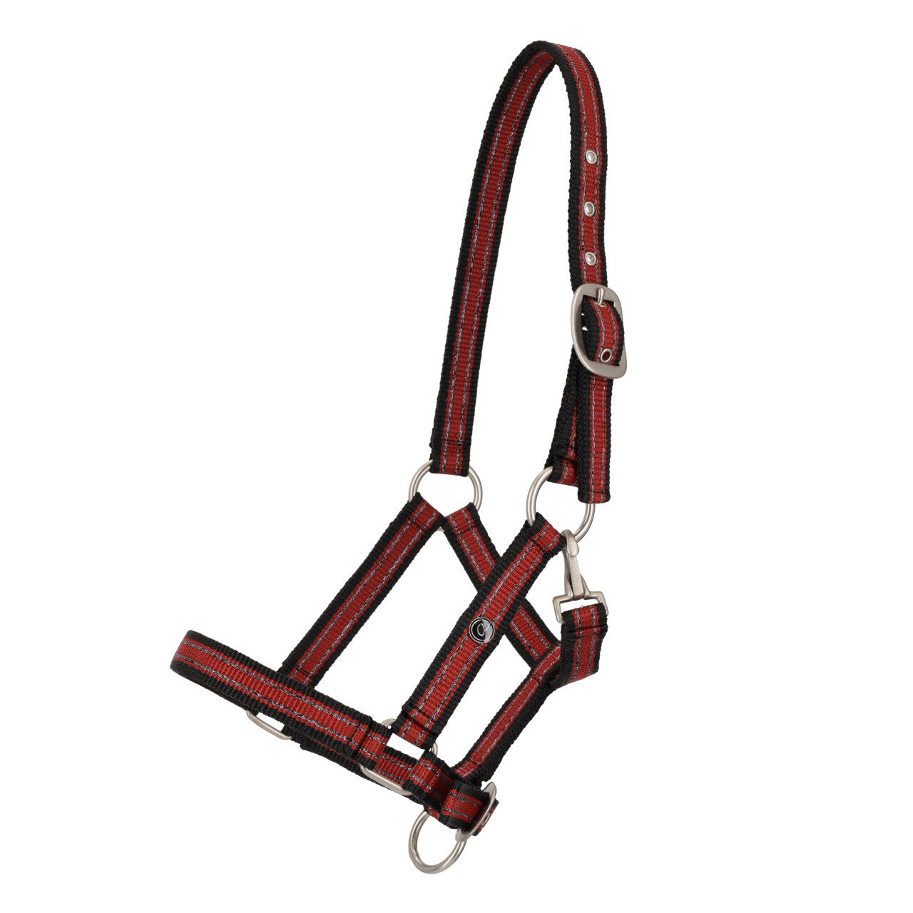 Licol QHP Poulain Collection 26