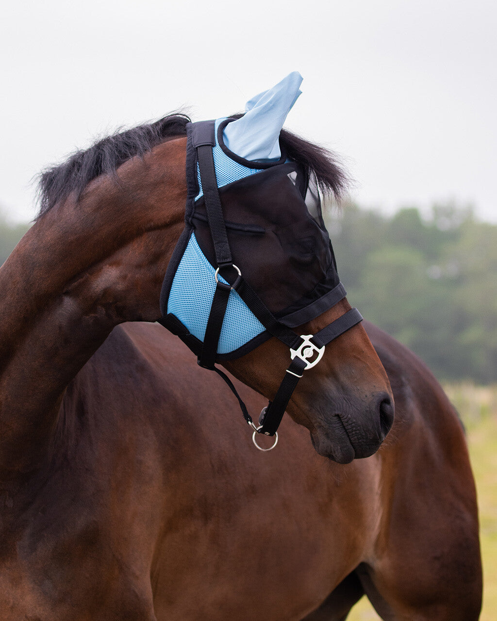 Bonnet anti mouche avec clapet de nez détachable QHP