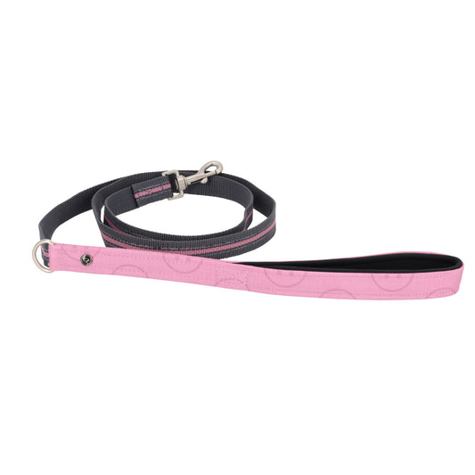 Laisse QHP collection 26