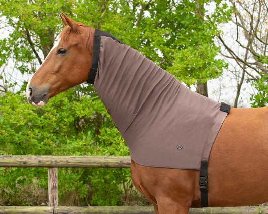 Haute encolure anti eczéma