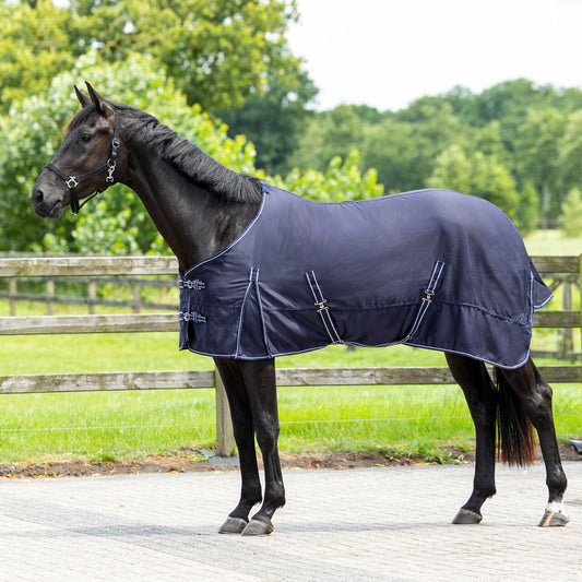 Chemise coton basic QHP