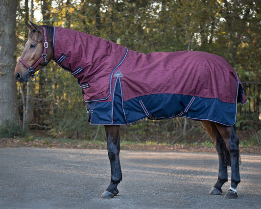 Couverture de paddock Turnout 150gr avec cou détachable