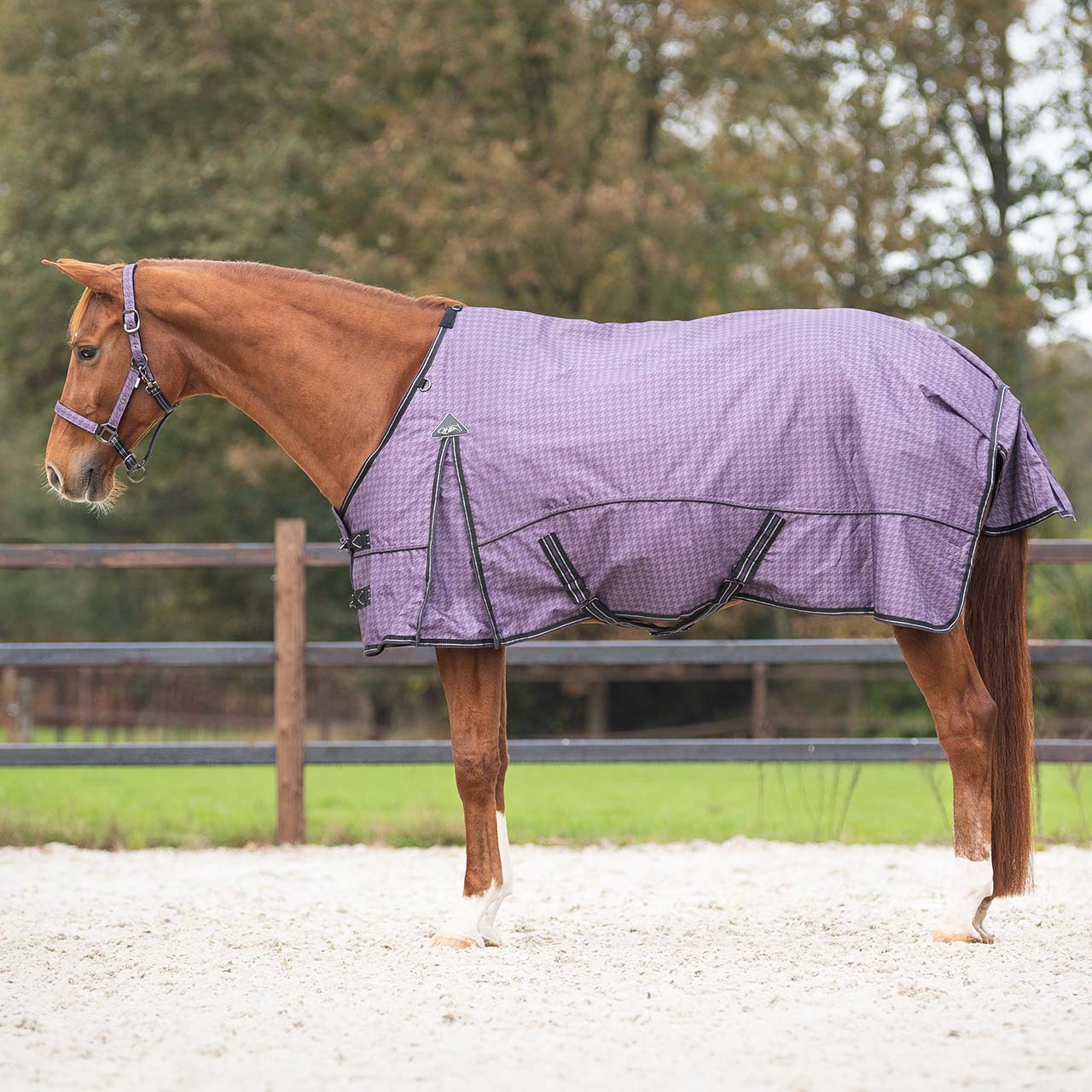 Couverture de paddock QHP "Sapphire" 50gr 1200D