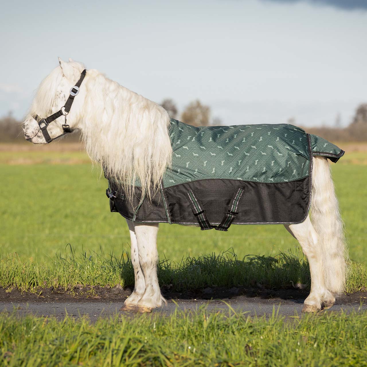Couverture de paddock QHP "Collection" Falabella - 150gr