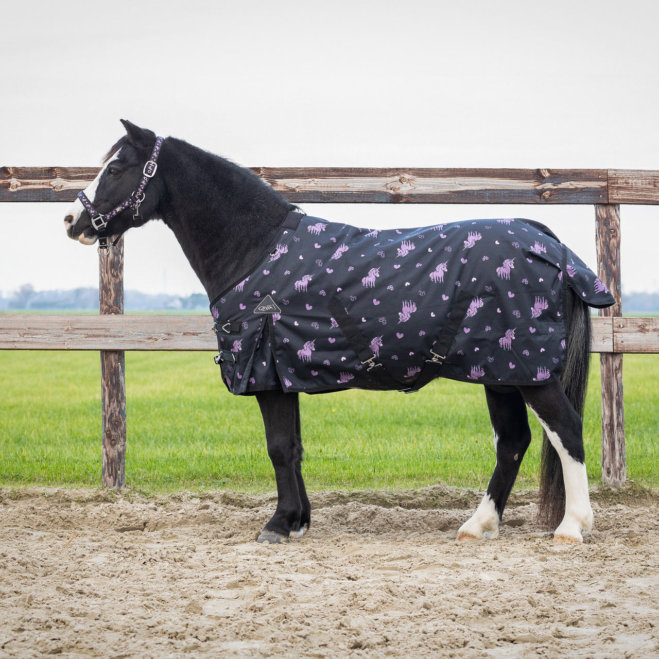 Couverture de paddock QHP "Lize" 100gr - Poney