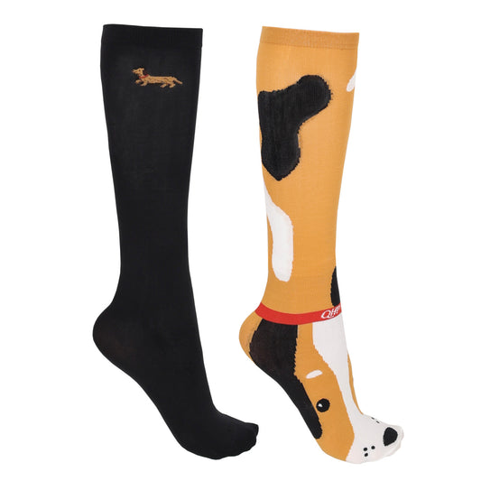 Pack x2 Chaussettes QHP "Dachshund"