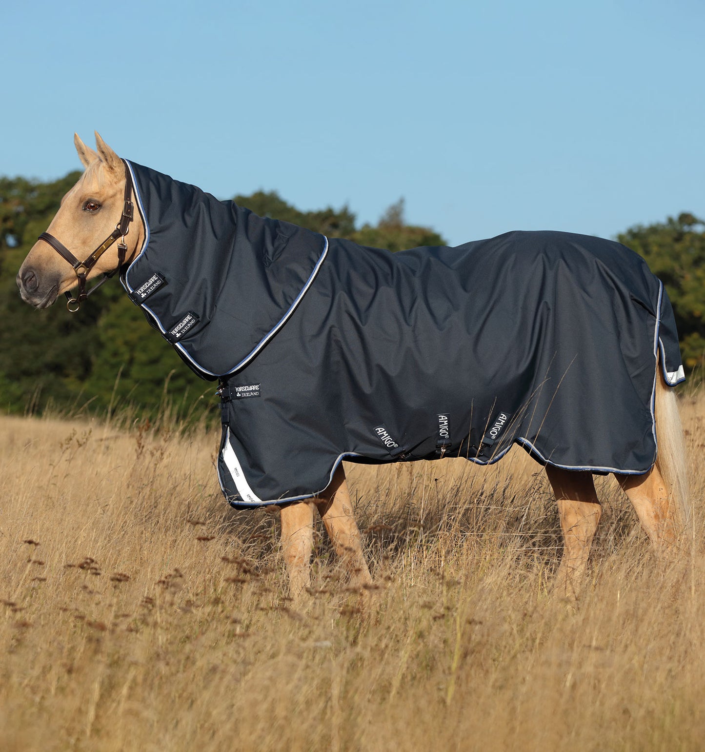 Couverture de paddock Amigo Bravo 12 plus Turnout 0gr