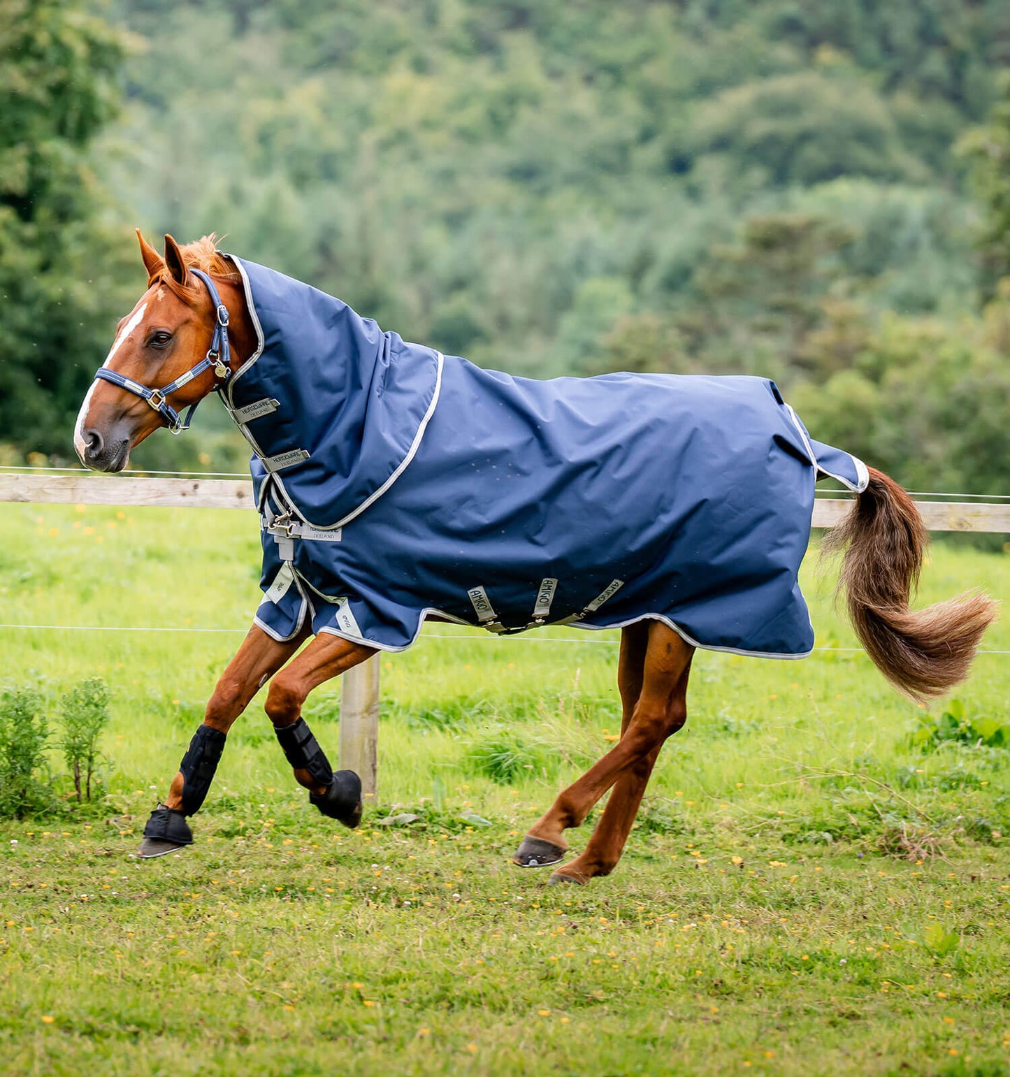 Couverture de paddock Amigo Bravo 12 plus Turnout 0gr