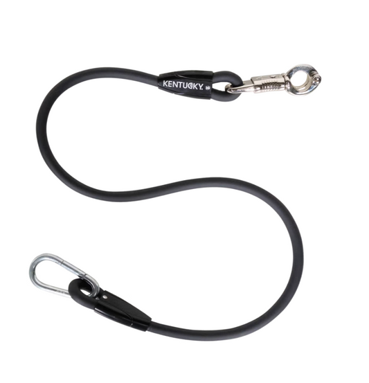 Longe d'attache en silicone