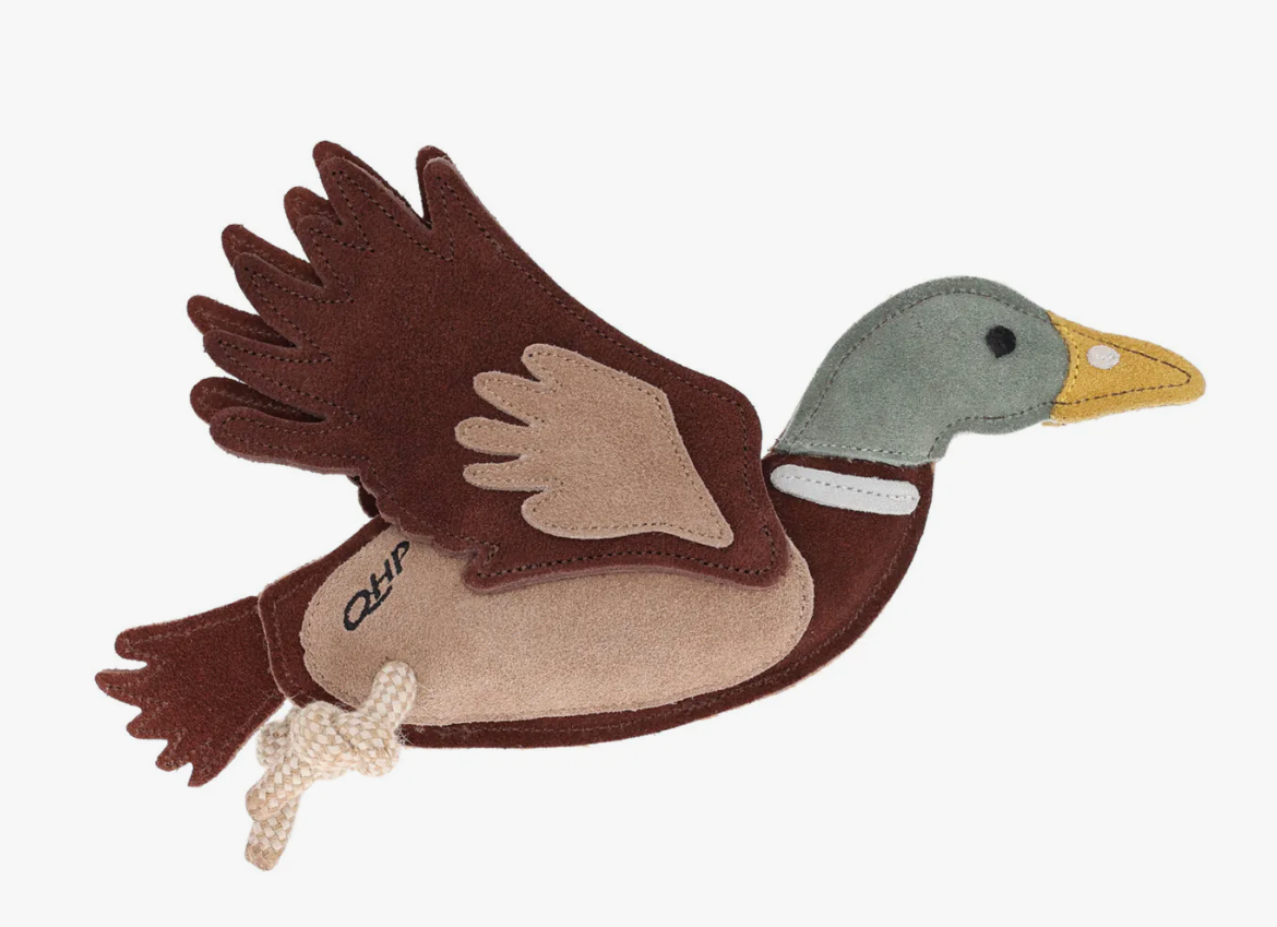 Jouet pour chien - CANARD