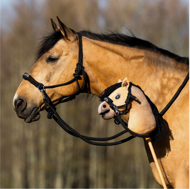 Nalanta Licol corde avec rênes Hobby horse