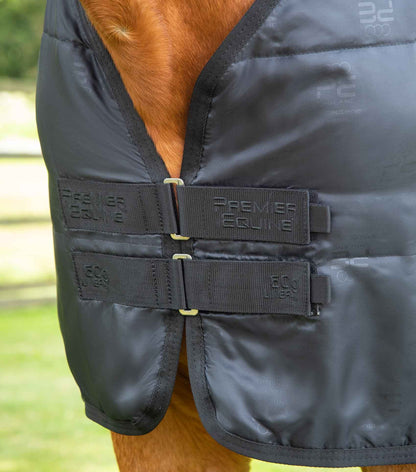Liner Premier Equine 100gr