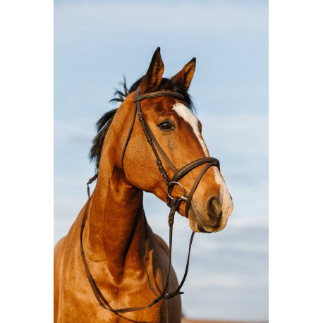 Bridon RIDING WORLD doublé muserolle combinée