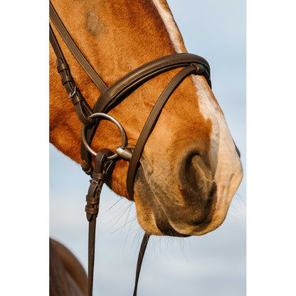 Bridon RIDING WORLD doublé muserolle combinée