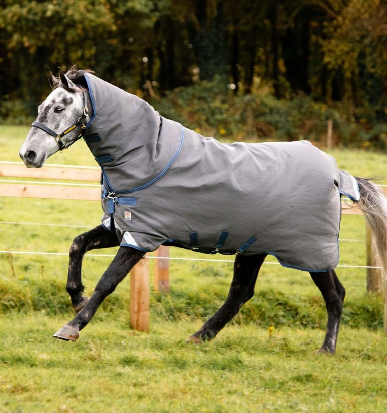 Couverture de paddock Amigo Bravo 12 plus Turnout 0gr