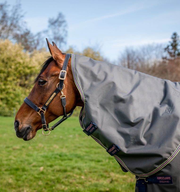Couverture de paddock Amigo Bravo 12 plus Turnout 0gr