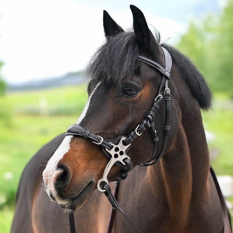 Bridon Jump'in pour Hackamore One prenium