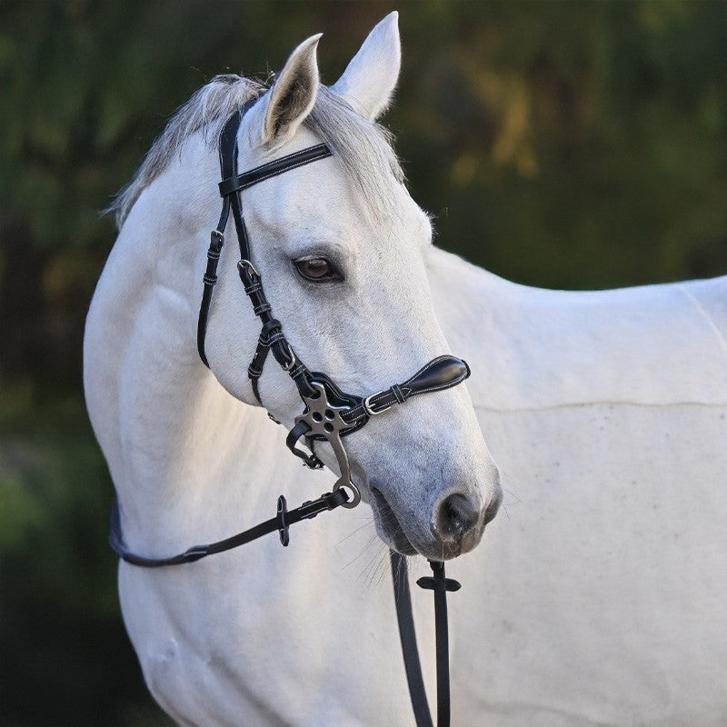 Bridon Jump'in pour Hackamore One prenium