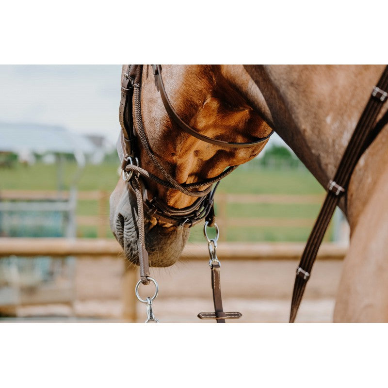 Bridon Bitless Norton Pro