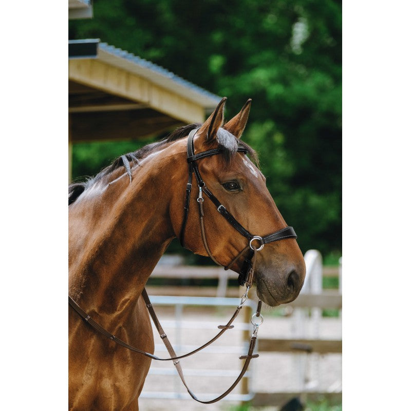 Bridon Bitless Norton Pro