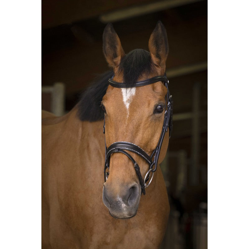 Bridon Norton Pro "Rock"