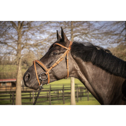 Bridon Pénélope Leprevost "Elegance"