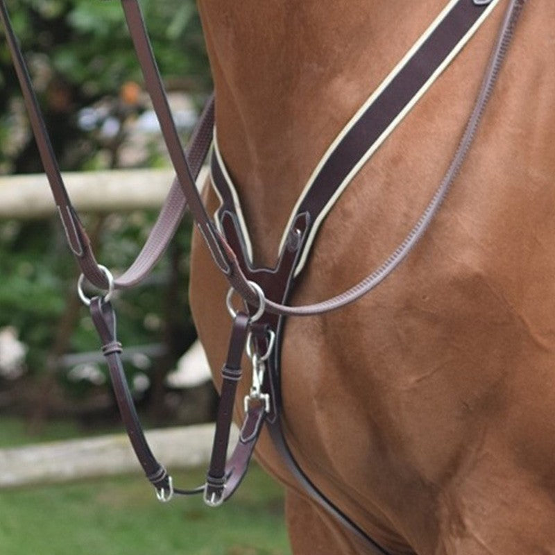 Collier de chasse élastique  et martingale - Collection One