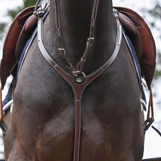 Collier de chasse Jump'in "Clincher" + Martingale - Collection One