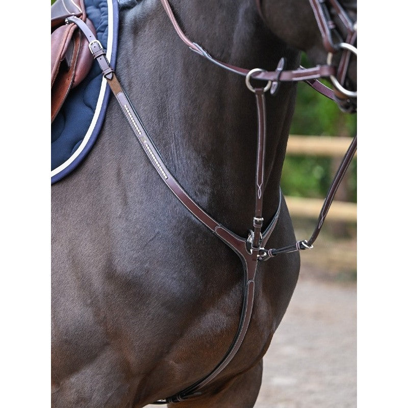 Collier de chasse Jump'in "Clincher" + Martingale - Collection One