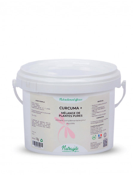 Curcuma + - 1kg