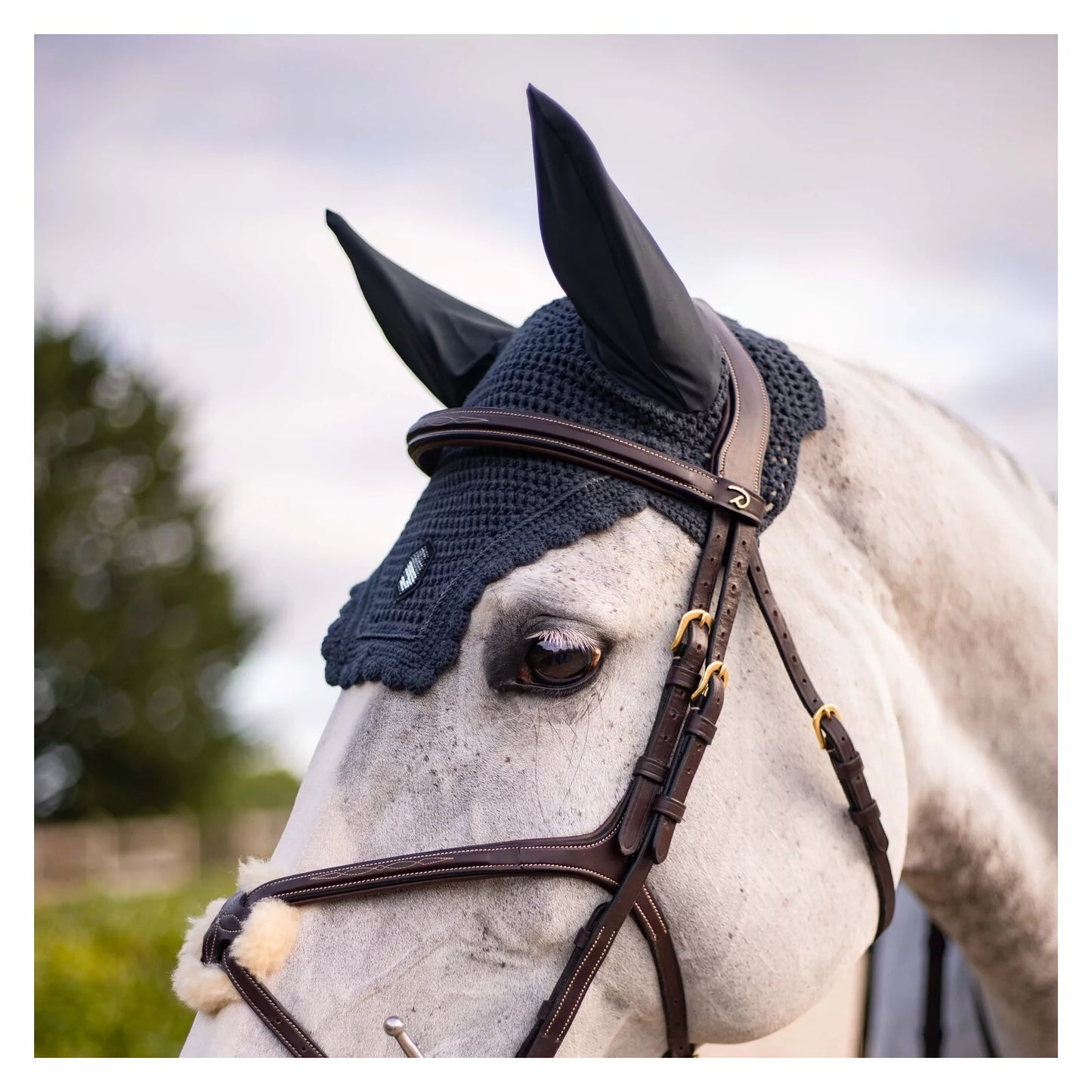Bonnet Samshield