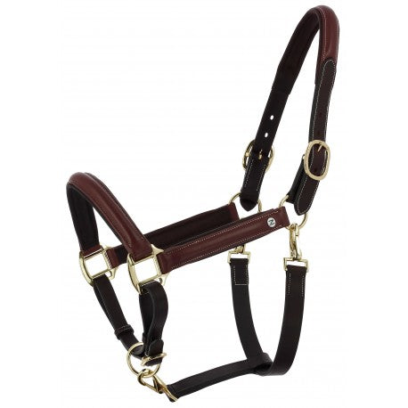 Licol grooming cuir huilé NORTON - Spring