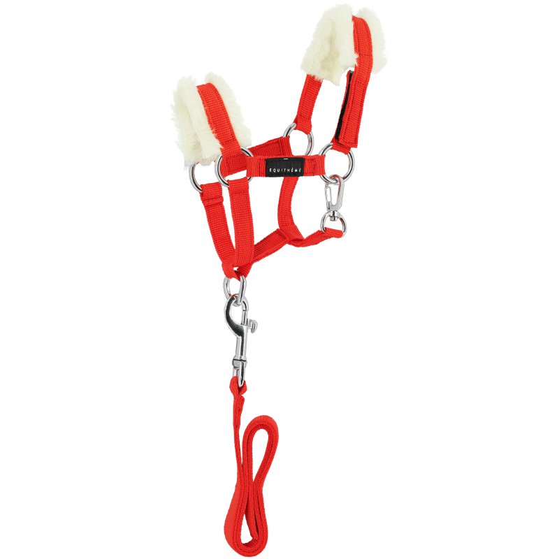 Mini licol + longe pour peluche Pony Academy