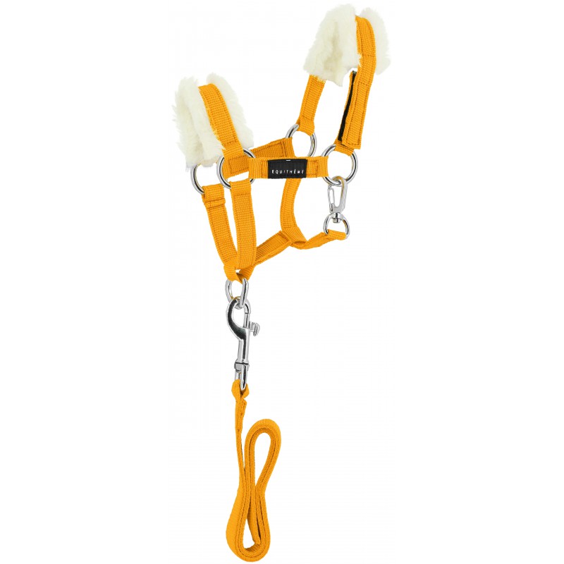 Mini licol + longe pour peluche Pony Academy