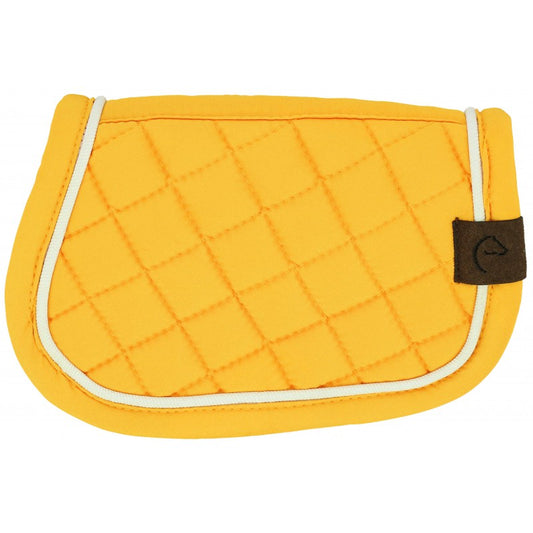 Tapis de selle pour peluche Pony Academy
