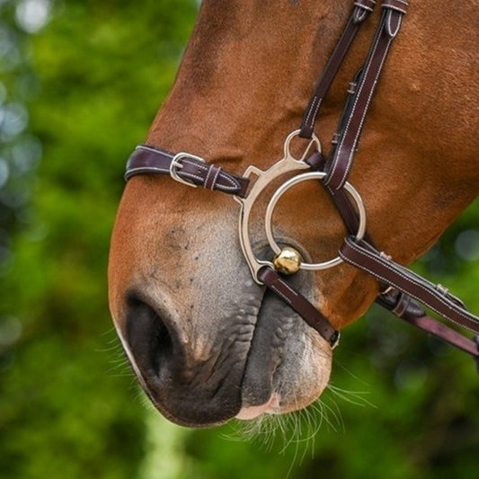 Muserolle Jump'in Hackamore