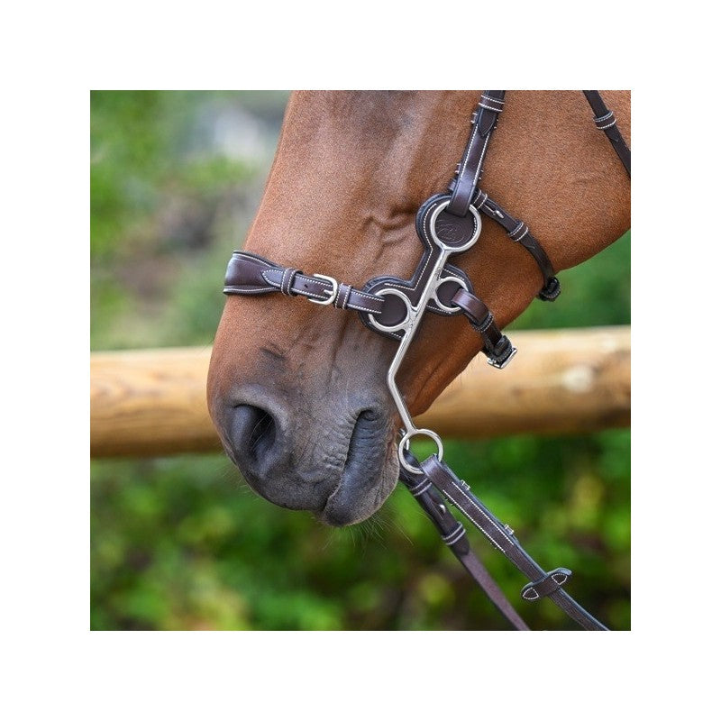 Protection d'hackamore - Jump'in