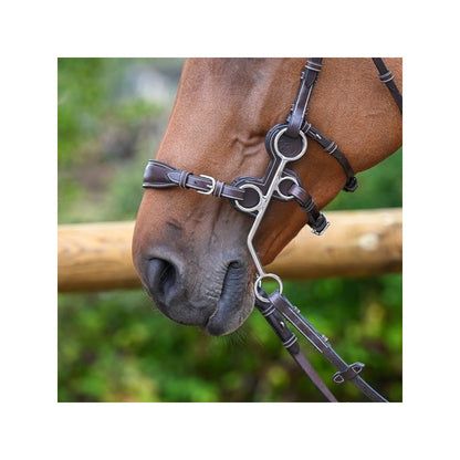 Protection d'hackamore - Jump'in