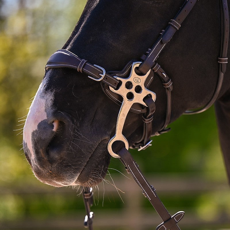 Protection d'hackamore - Jump'in