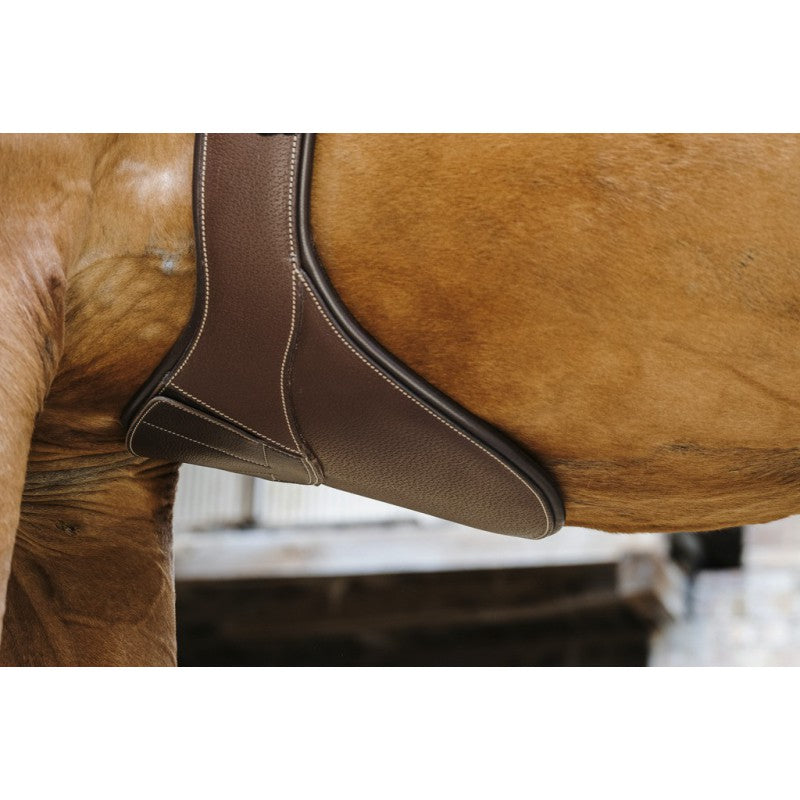 Sangle Bavette Norton "magnet"