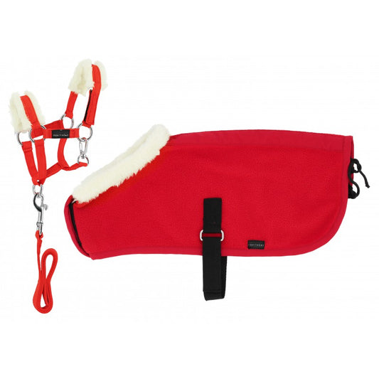 Set Mini licol + mini couvertures pour peluche Pony Academy