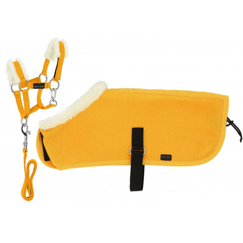 Set Mini licol + mini couvertures pour peluche Pony Academy