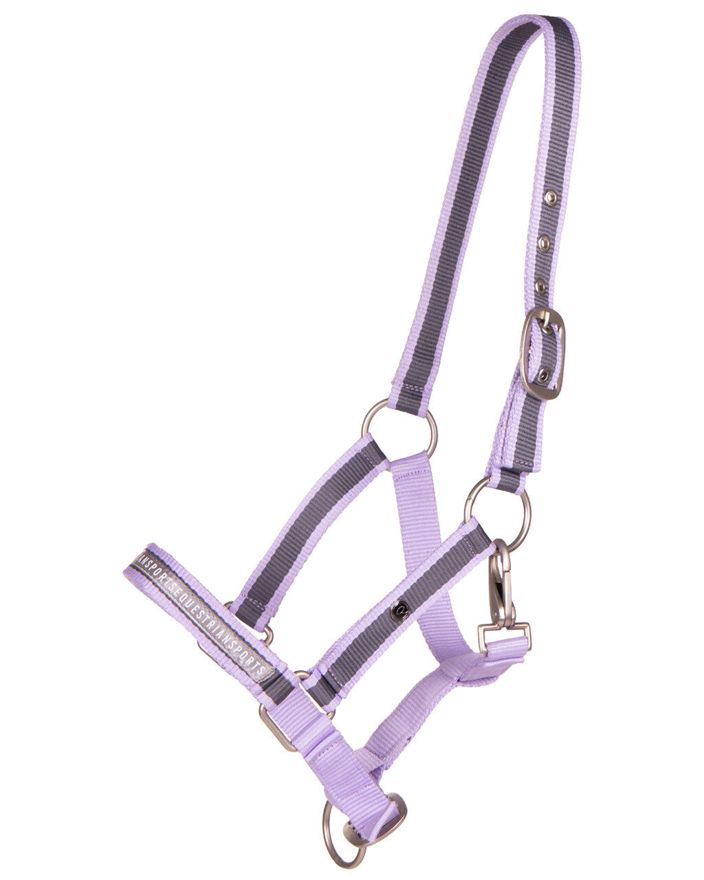 Licol foal QHP "été"