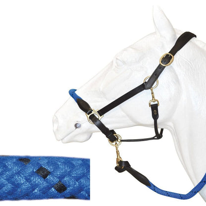Licol en cuir/corde Canter