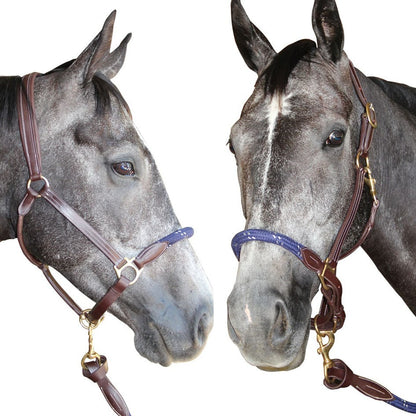 Licol en cuir/corde Canter