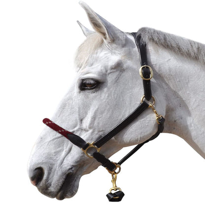 Licol en cuir/corde Canter