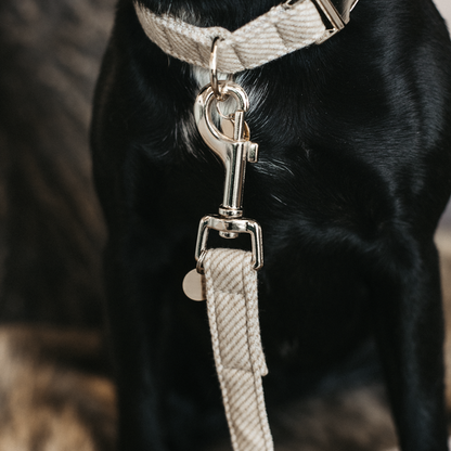 Laisse chien "laine wool"