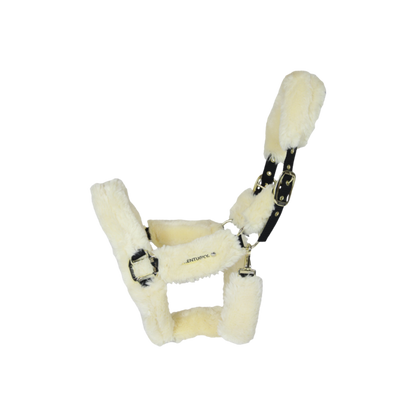 LICOL DE TRANSPORT MOUTON