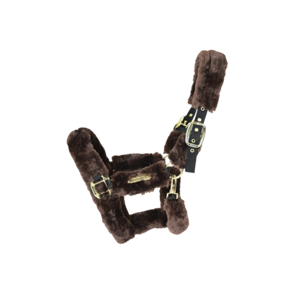 LICOL DE TRANSPORT MOUTON