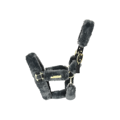 LICOL DE TRANSPORT MOUTON